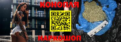 стафф Лесосибирск
