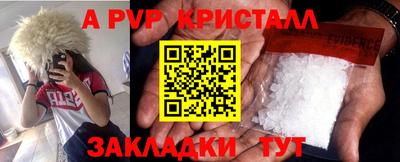 стафф Лесосибирск