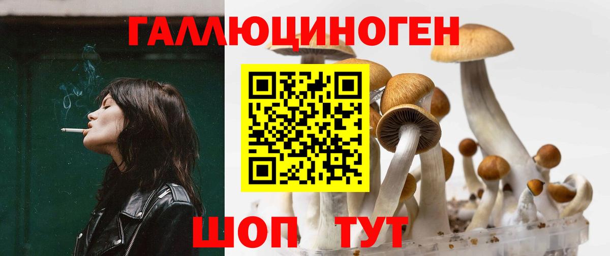 Галлюциногенные грибы Psilocybe Касимов